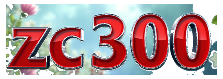 zc300 logo